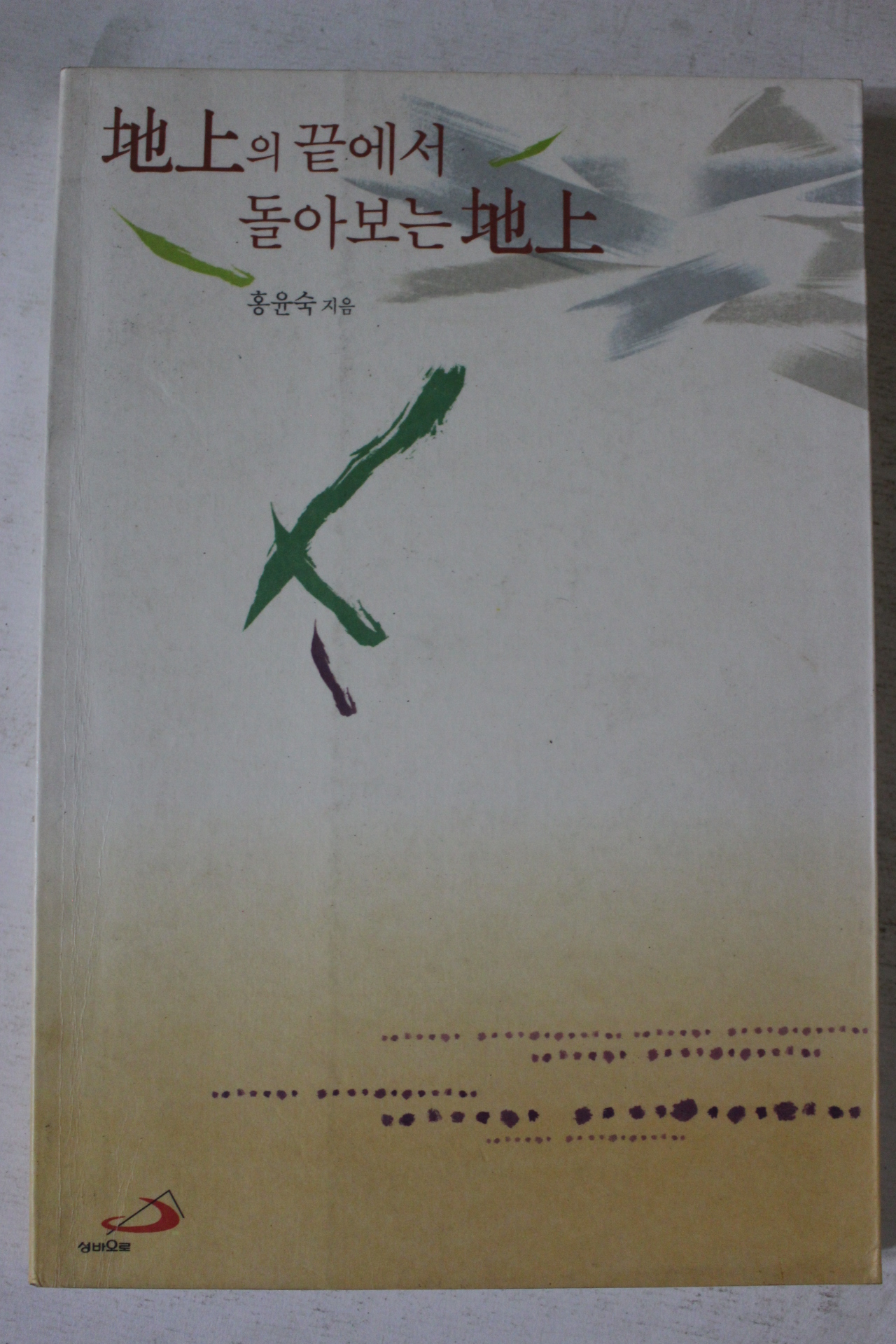 1999년 홍윤숙 지상의 끝에서 돌아보는 지상