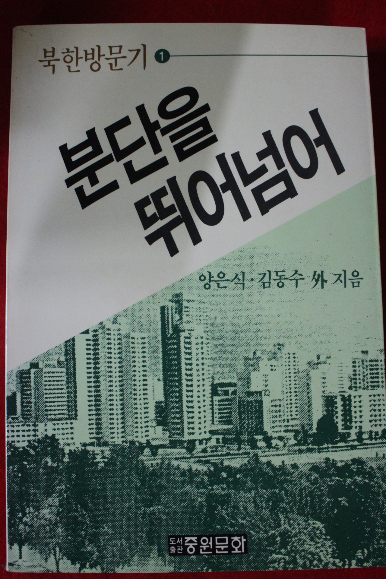 1988년초판 분단을 뛰어넘어