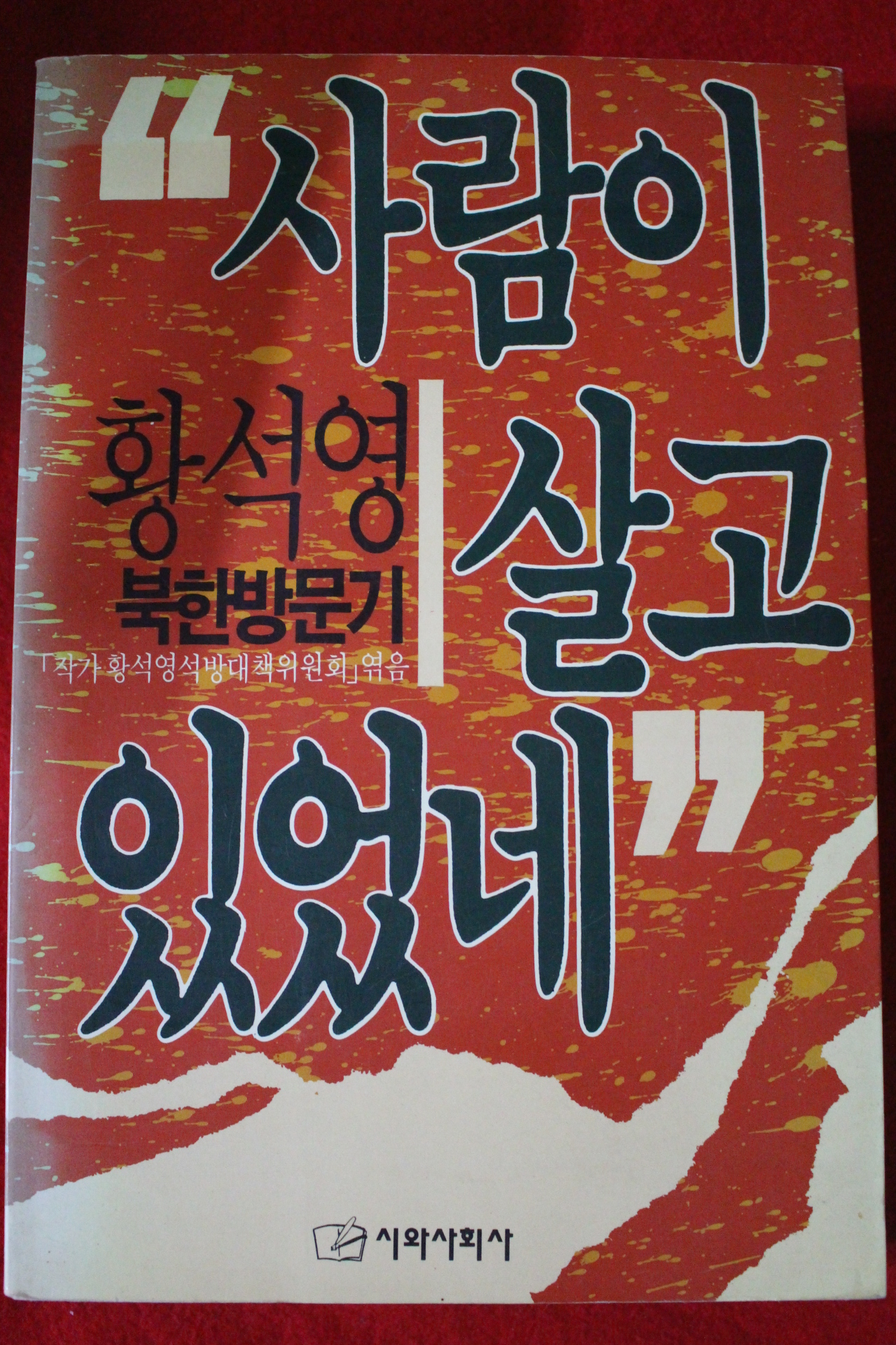 1993년 황석영 사람이 살고 있었네