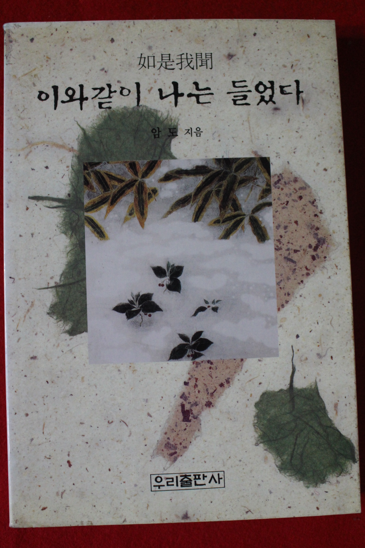 1995년 암도스님 이와같이 나는 들었다