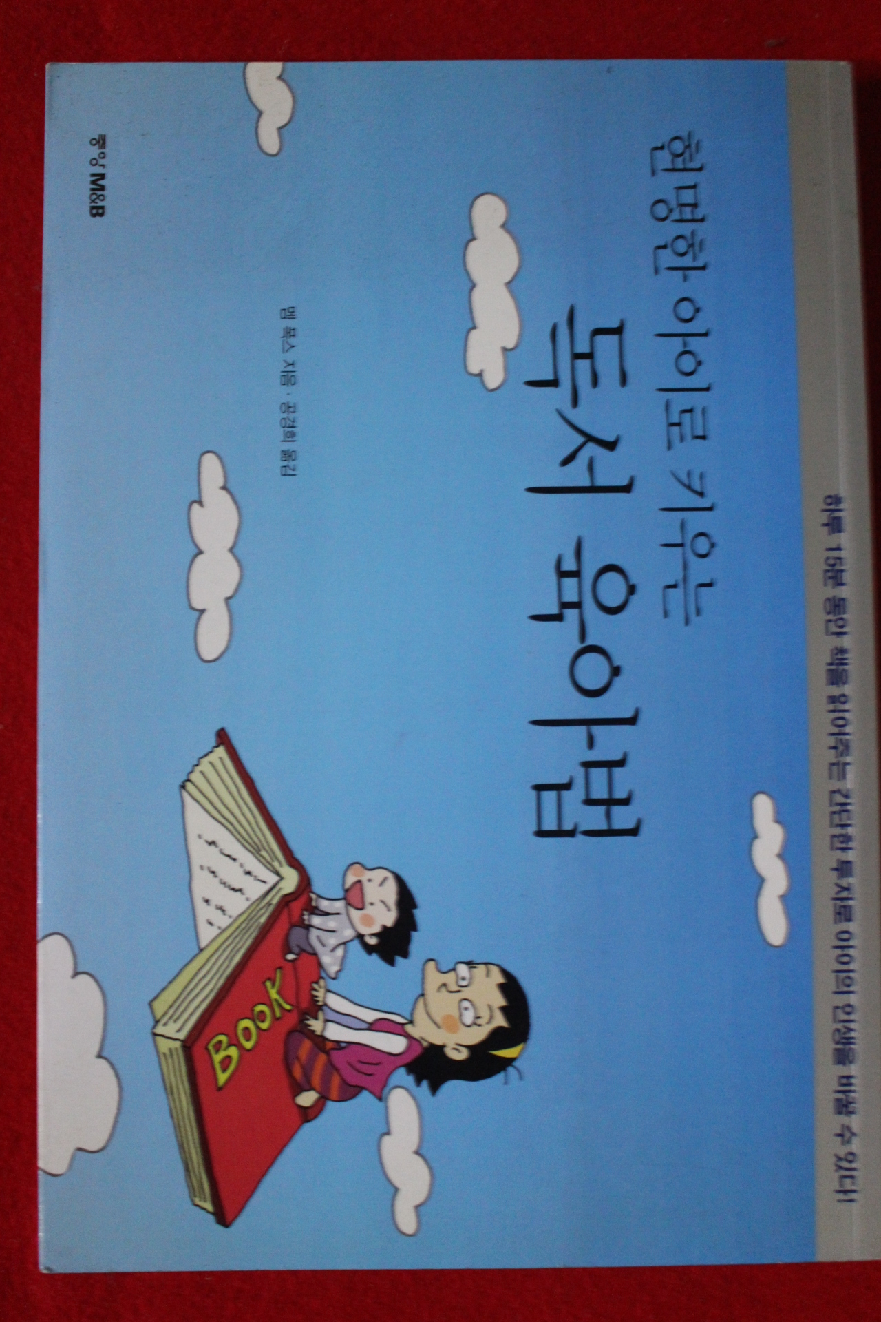2002년 멤 폭스 현명한 아이로 키우는 독서육아법