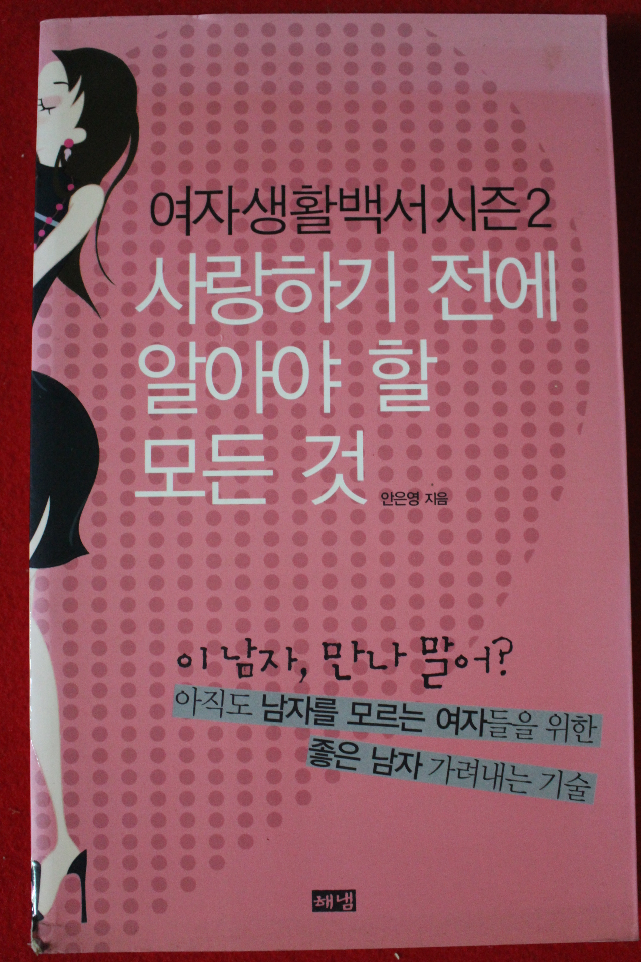 2007년 안은영 사랑하기 전에 알아야 할 모든거