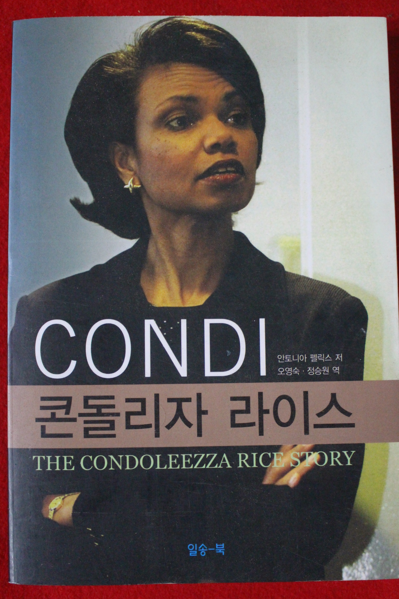 2003년 콘돌리자 라이스