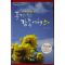 2011년초판 풍경이 있는 감동여행50