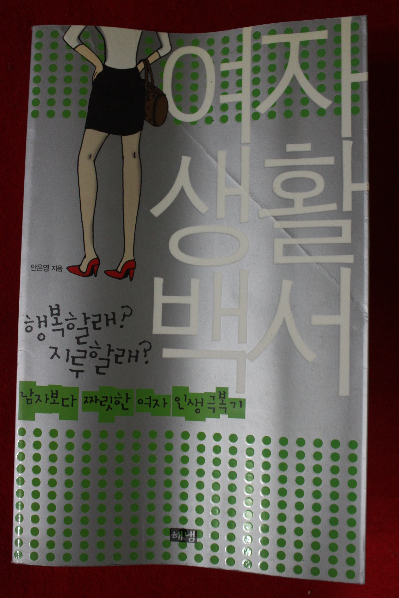 2006년 안은영 여자생활백서