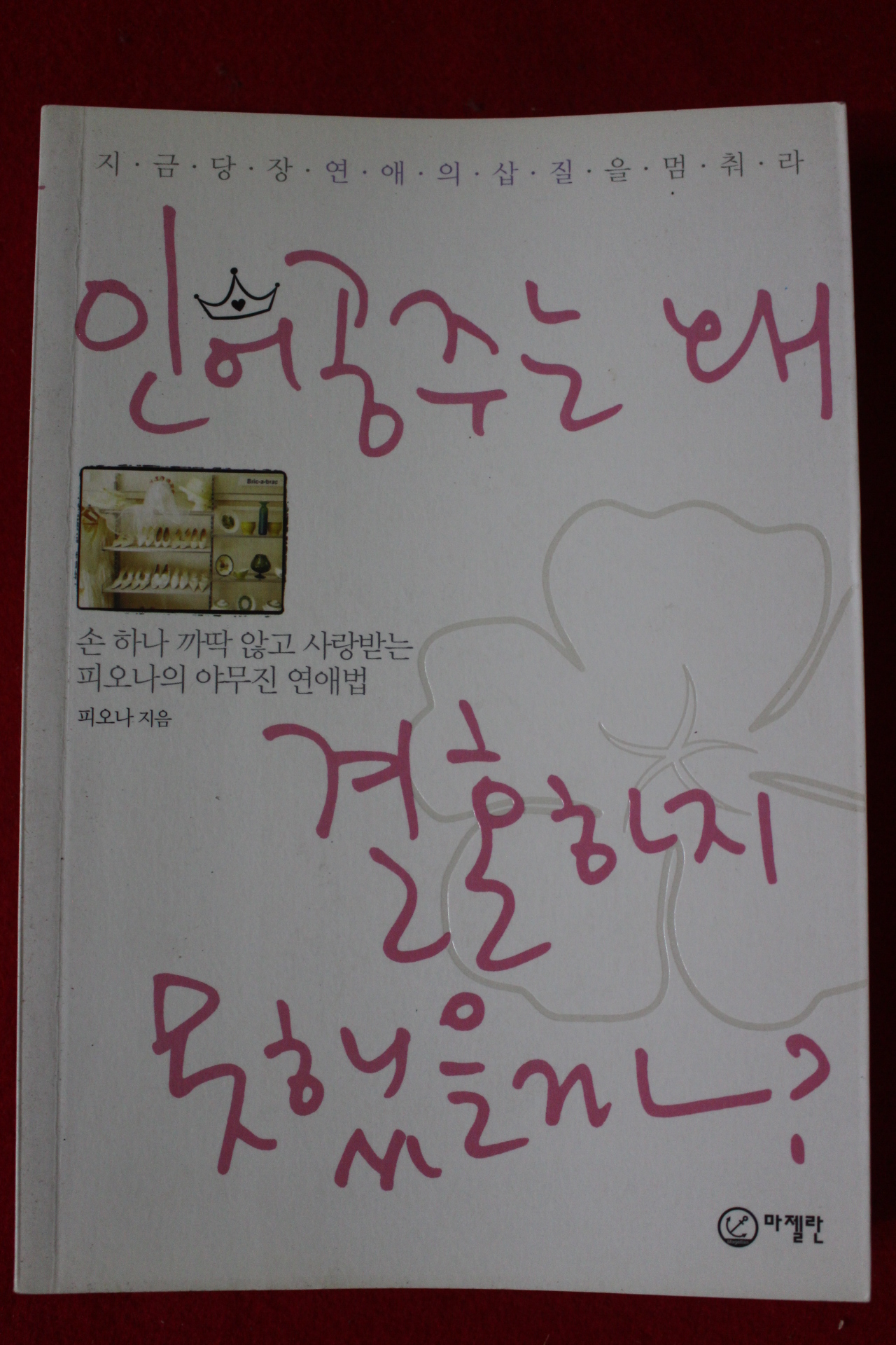 2009년 피오나 안어공주는 왜 결혼하지 못했을까