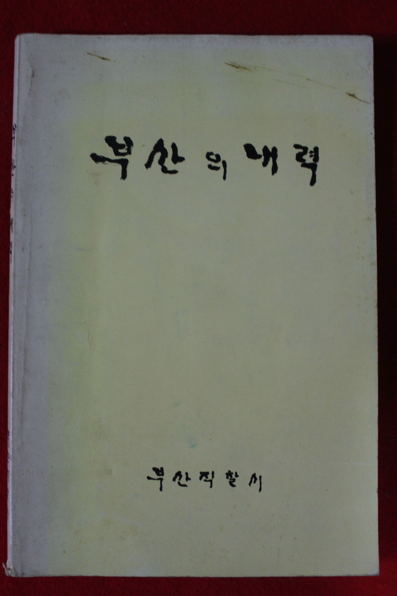 1989년 부산직할시 부산의 내력