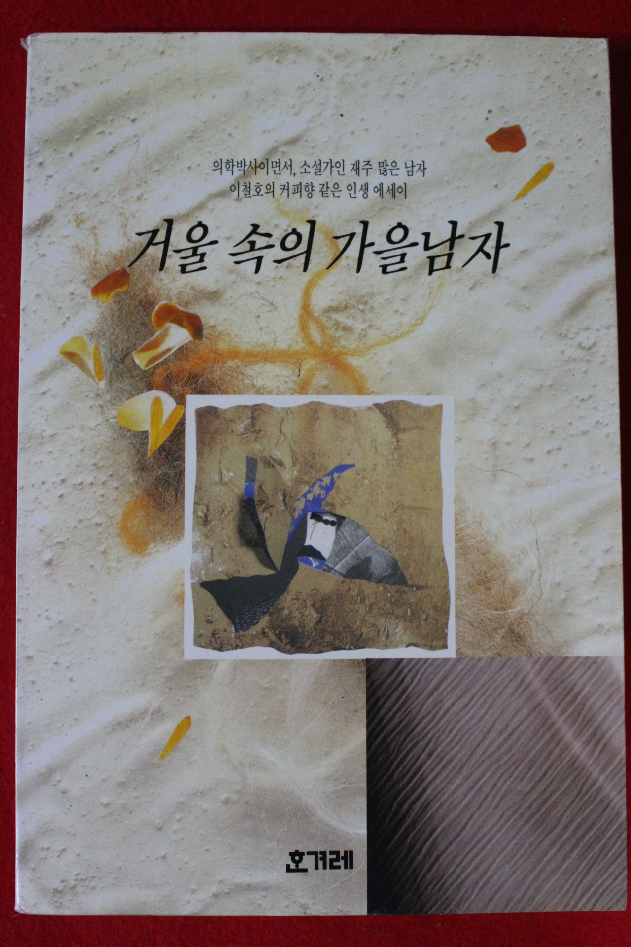 1993년초판 이철호 겨울속의 가을남자