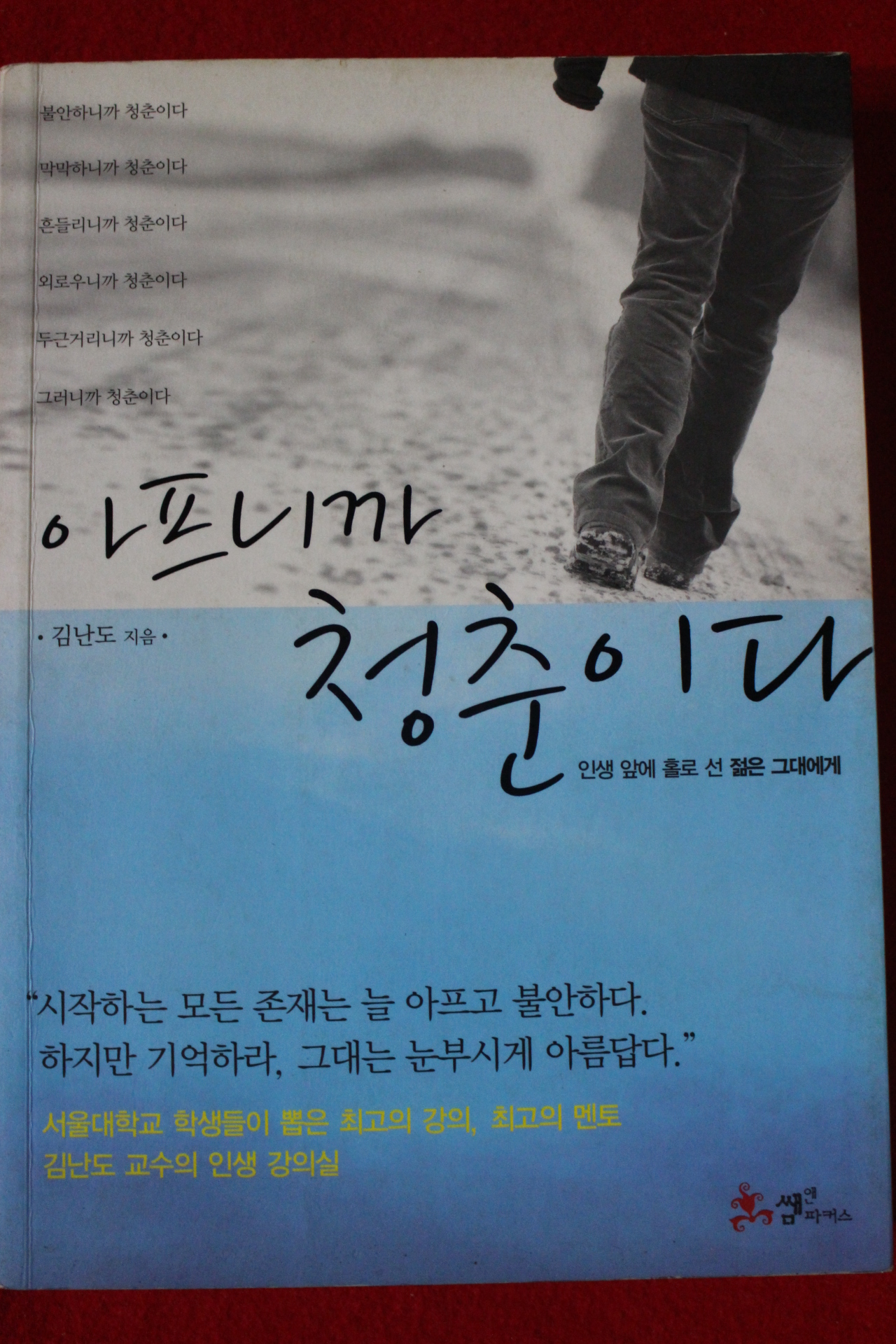 2011년 김난도 아프니까 청춘이다