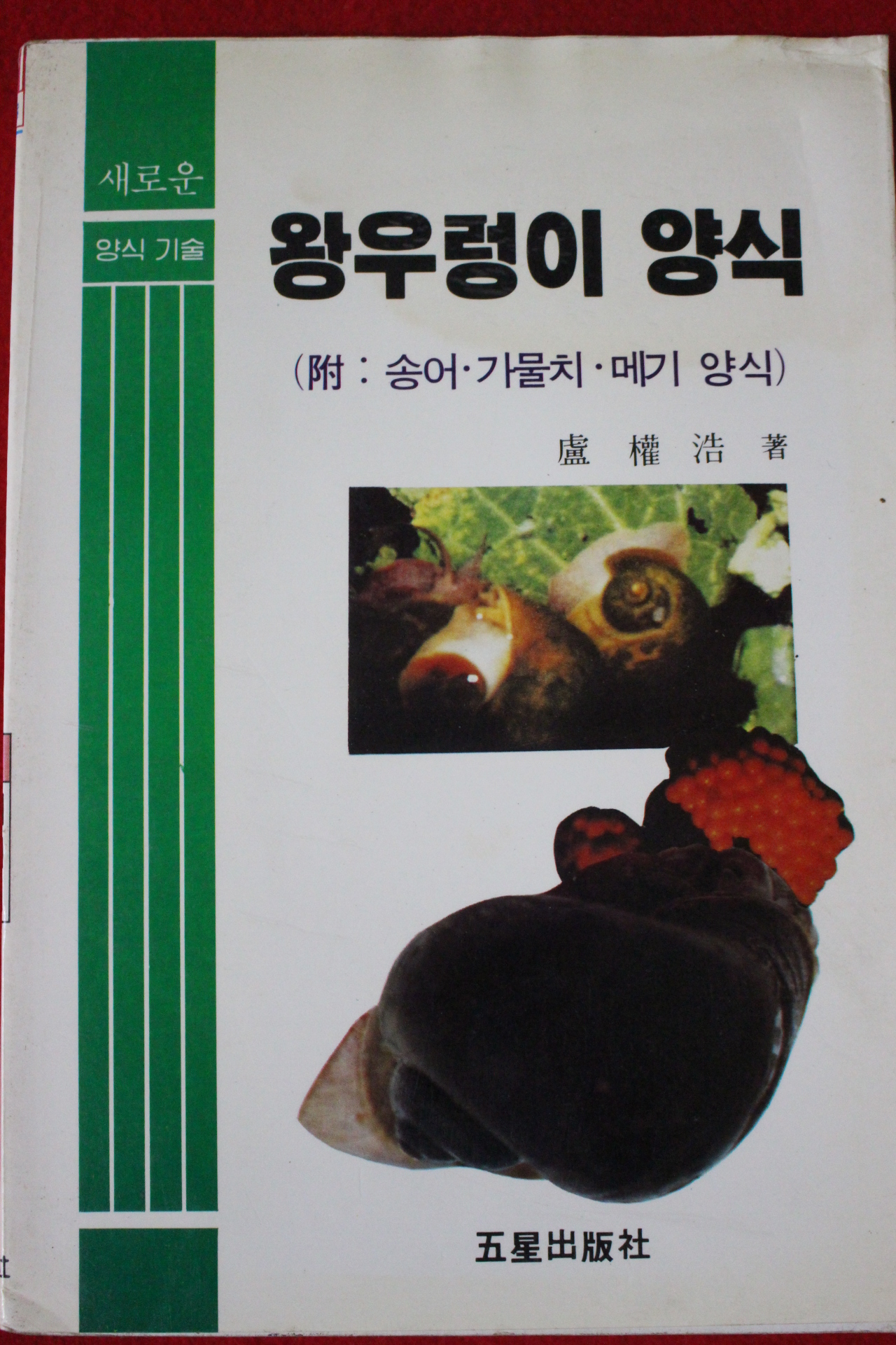 1991년 노권호 왕우렁이 양식
