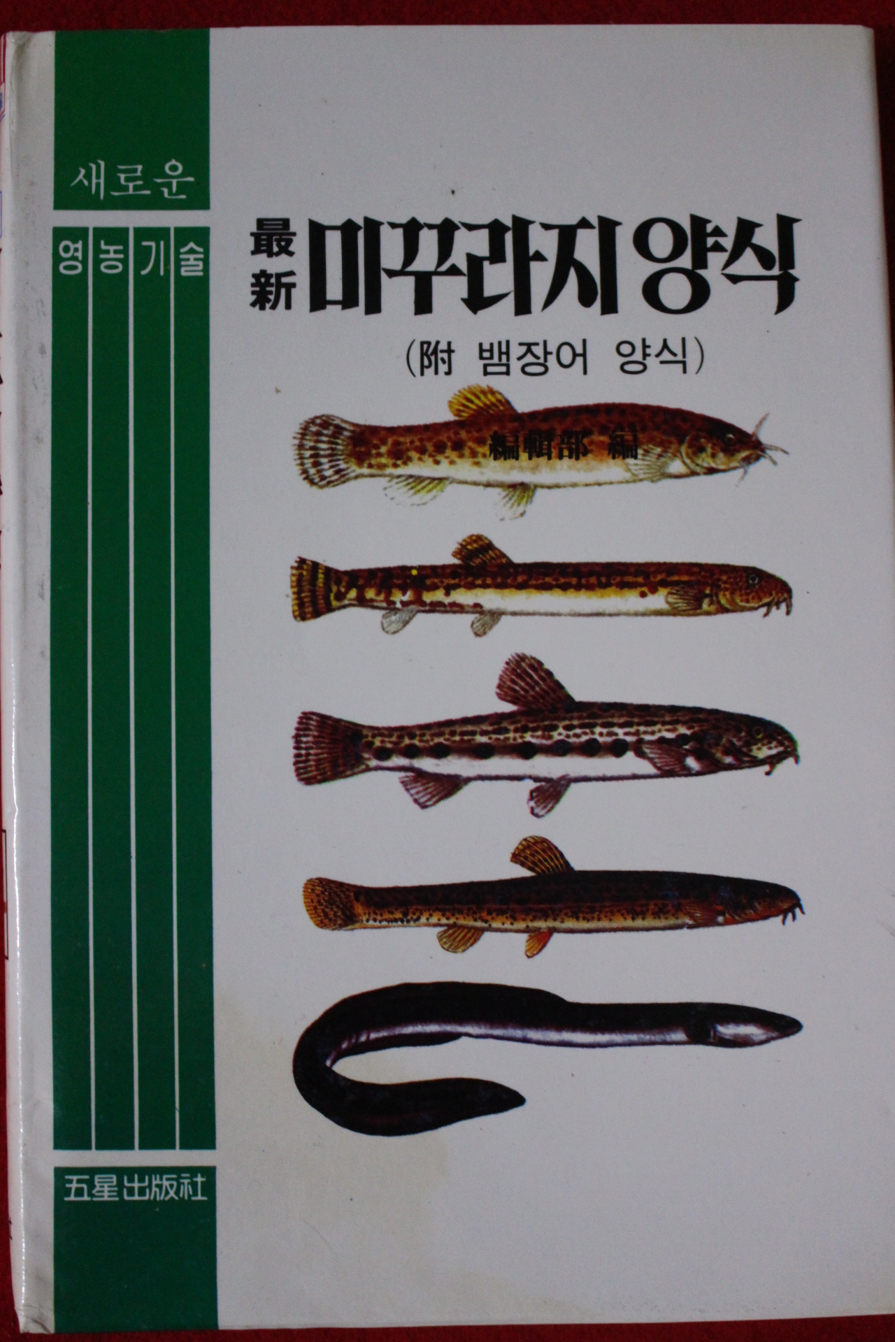 1991년 최신 미꾸라지양식
