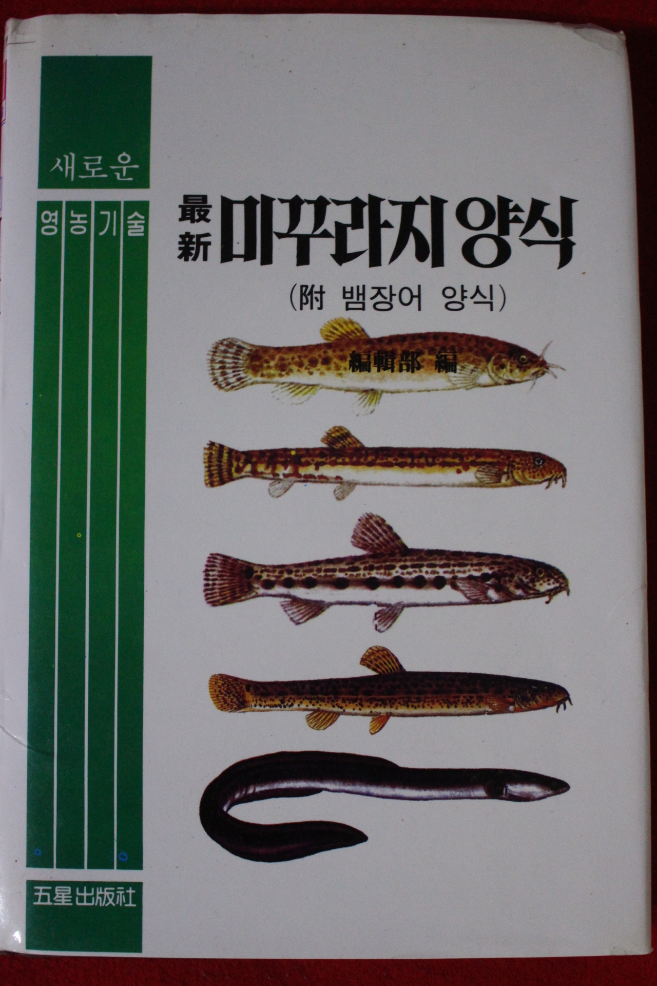 1991년 최신 미꾸라지양식