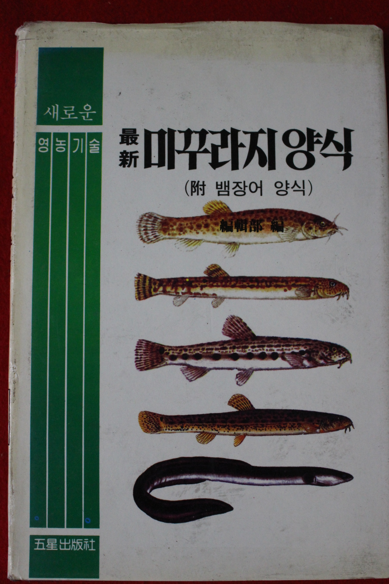 1991년 최신 미꾸라지양식