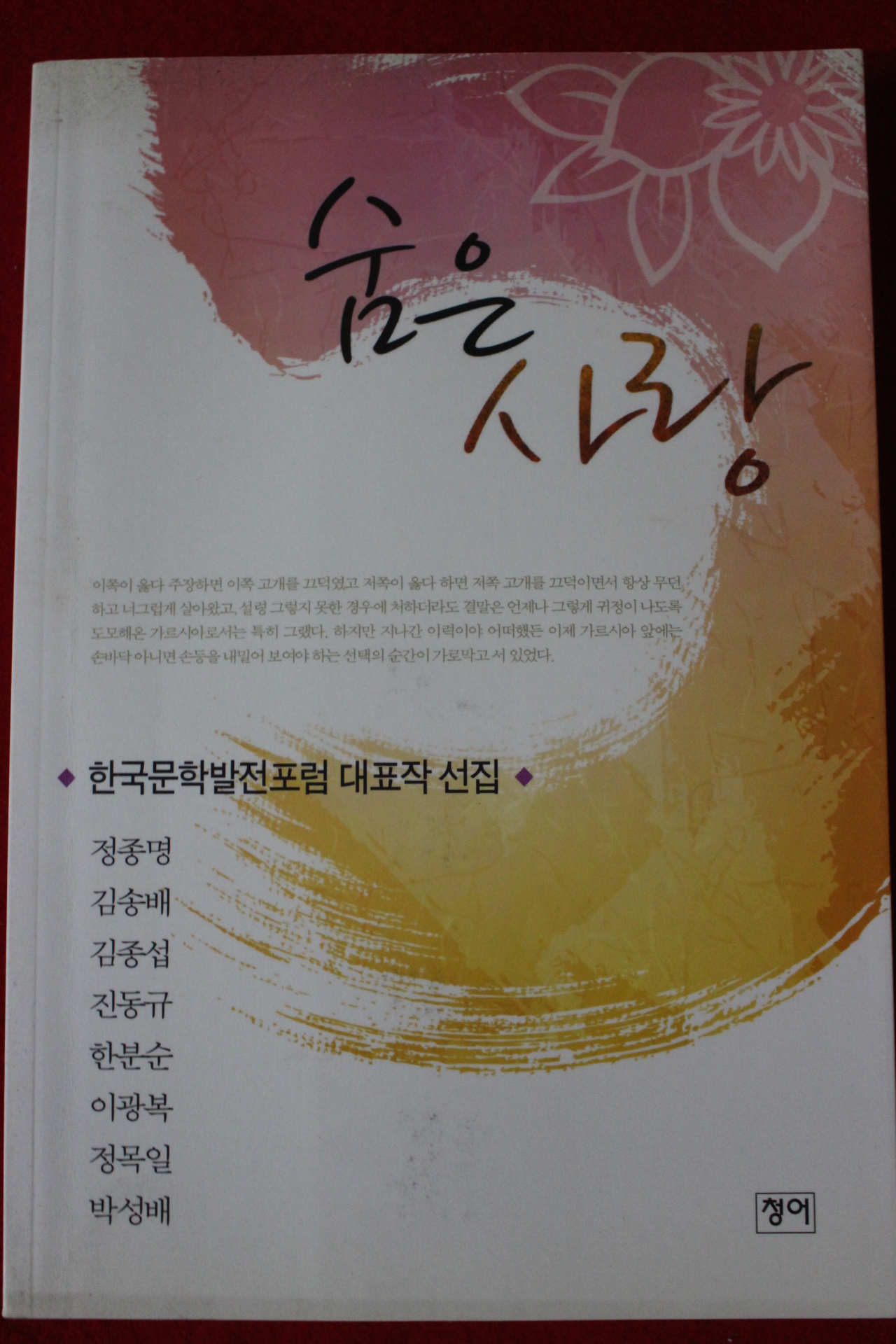2010년초판 한국문학발전포럼 대표작 선집 숨은 사랑