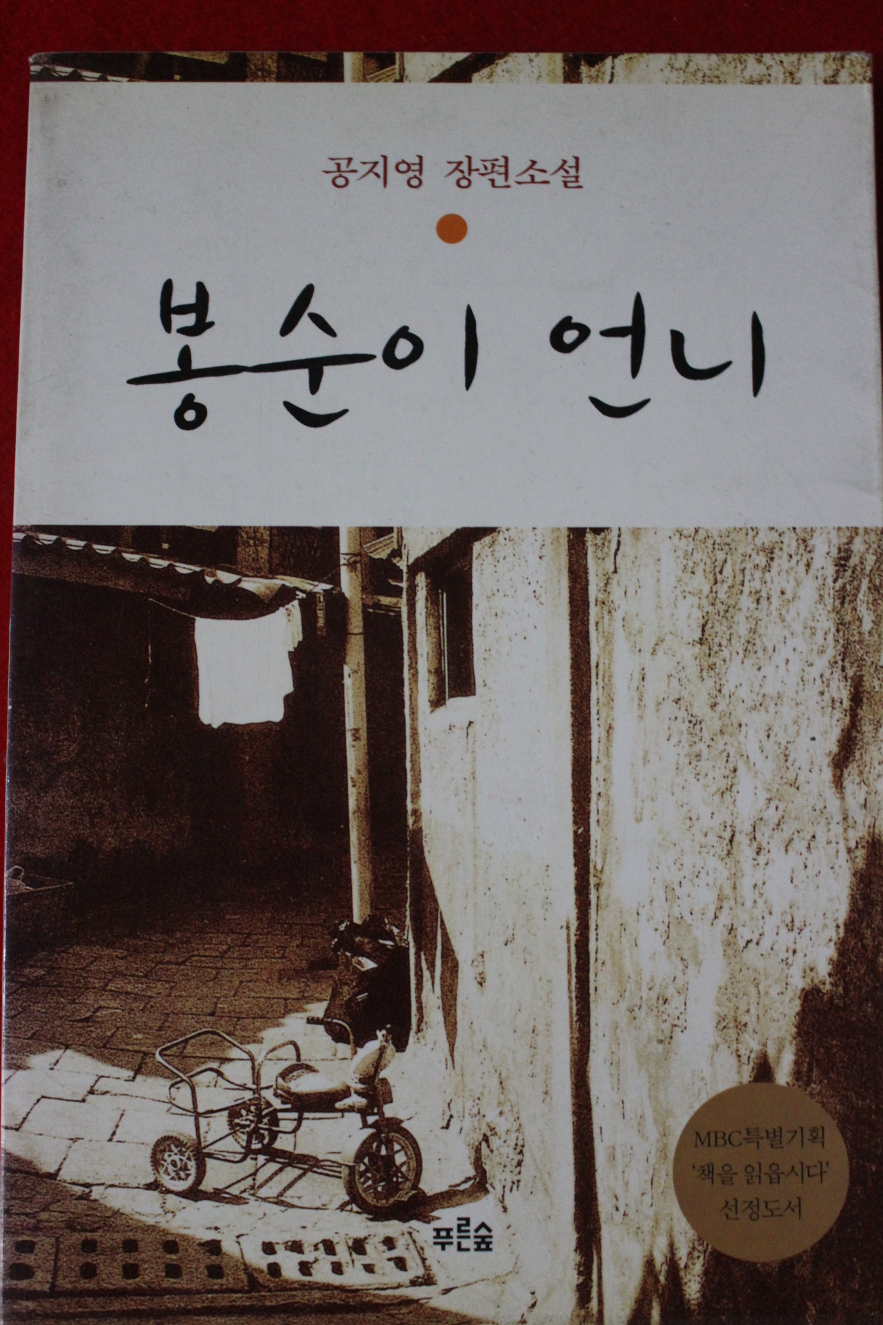 2002년 공지영 장편소설 봉순이언니