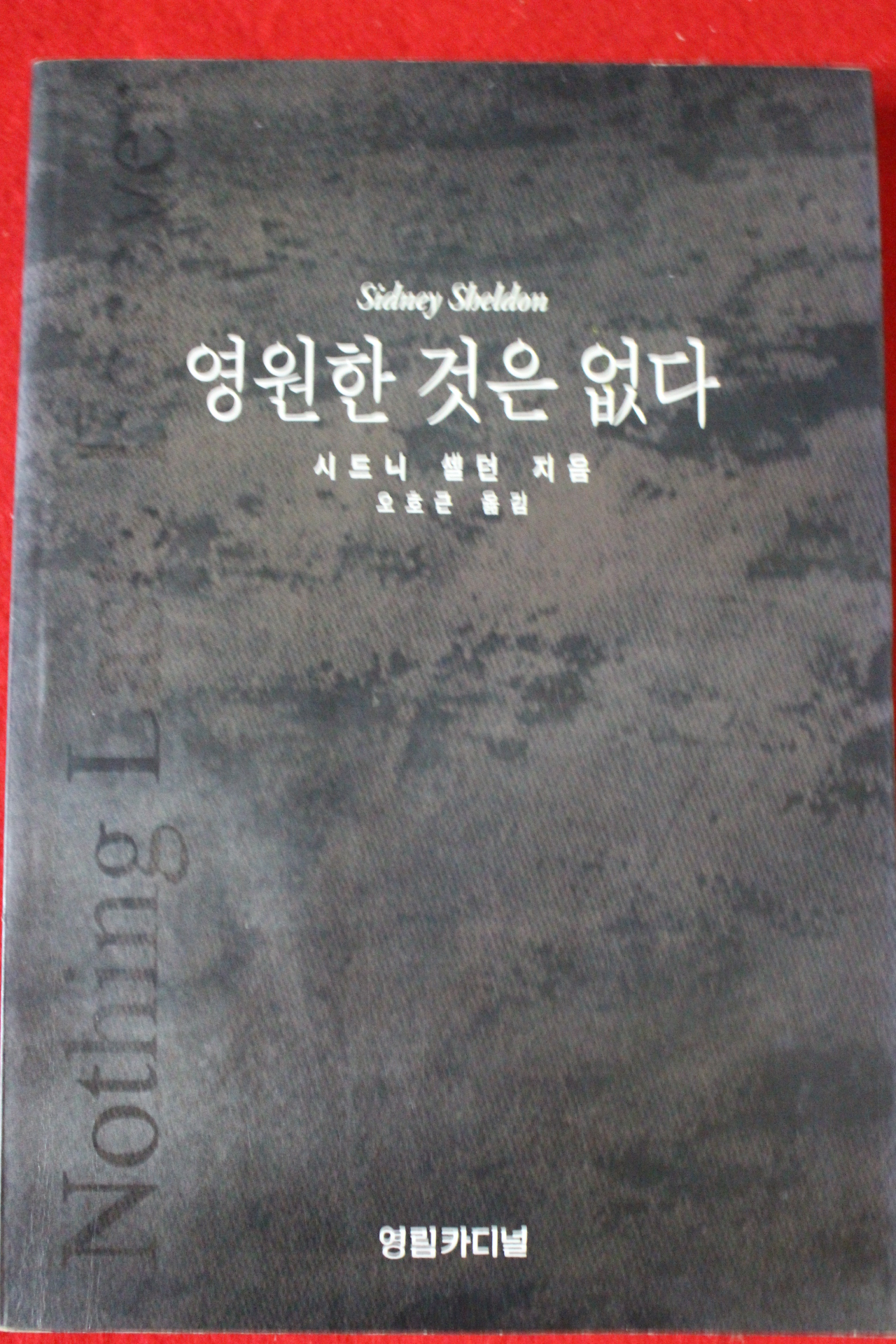 1995년 시드니 셀던 영원한 것은 없다