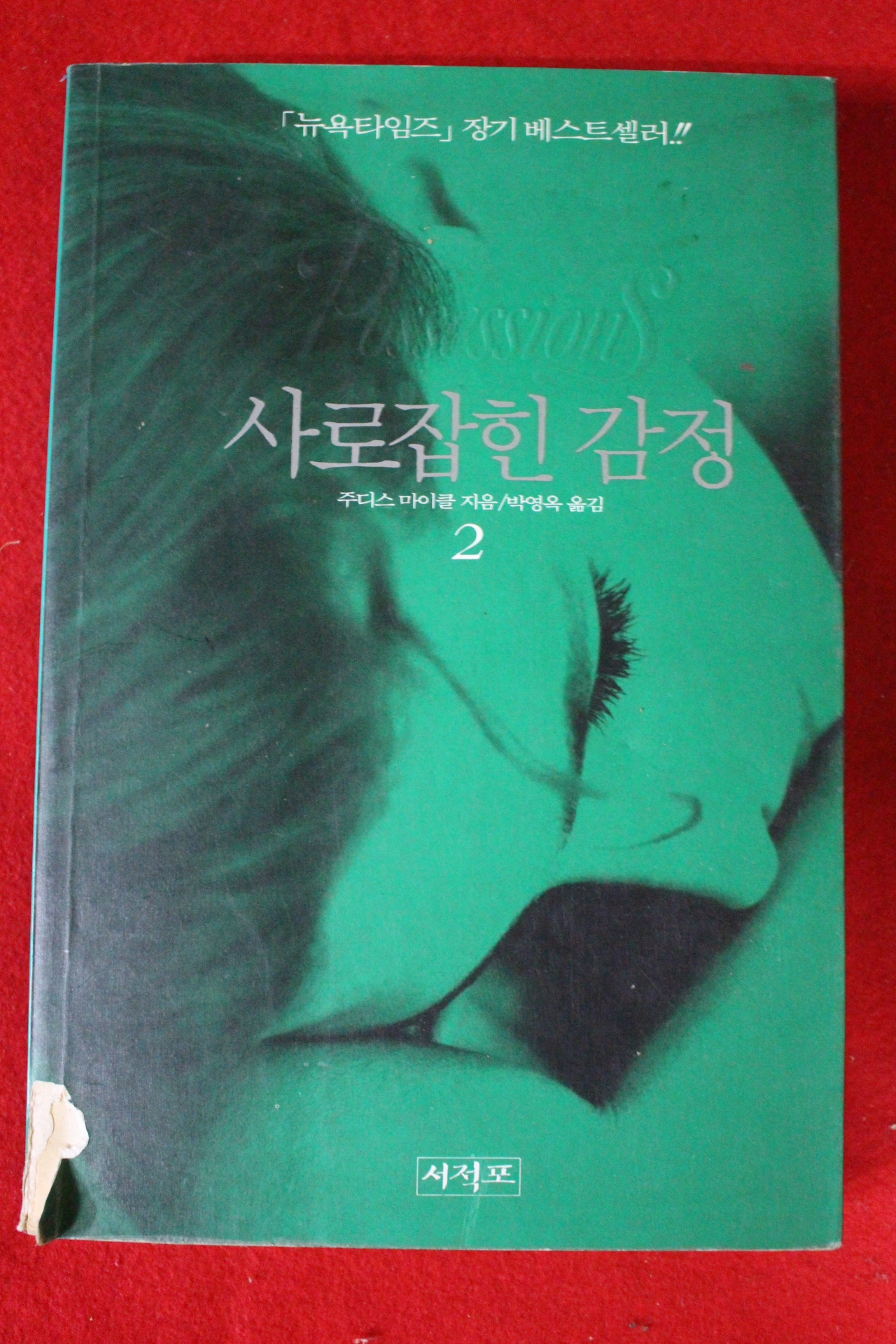 1993년초판 주디스 마이클 사로잡힌 감정 2