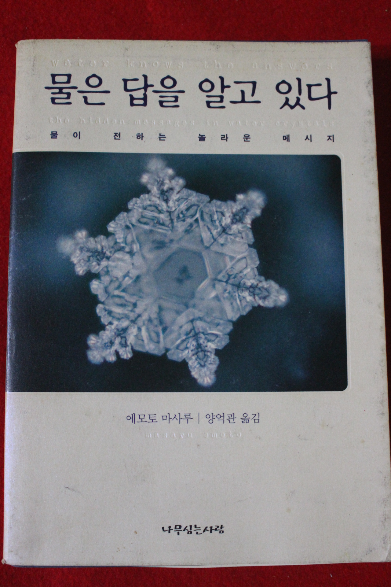 2004년 에모토 마사루 물은 답을 알고 있다