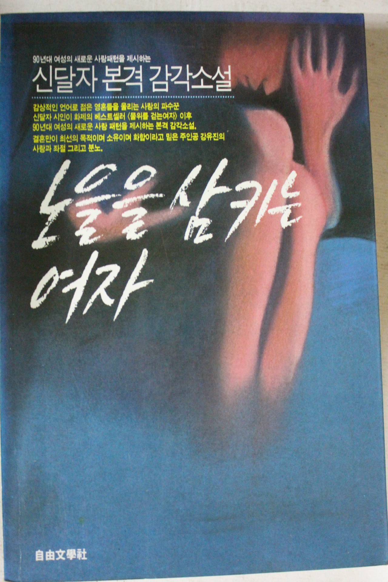 1991년 신달자 노을을 삼키는 여자