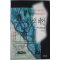 1994년초판 제임스 레드필드 천상의 예언