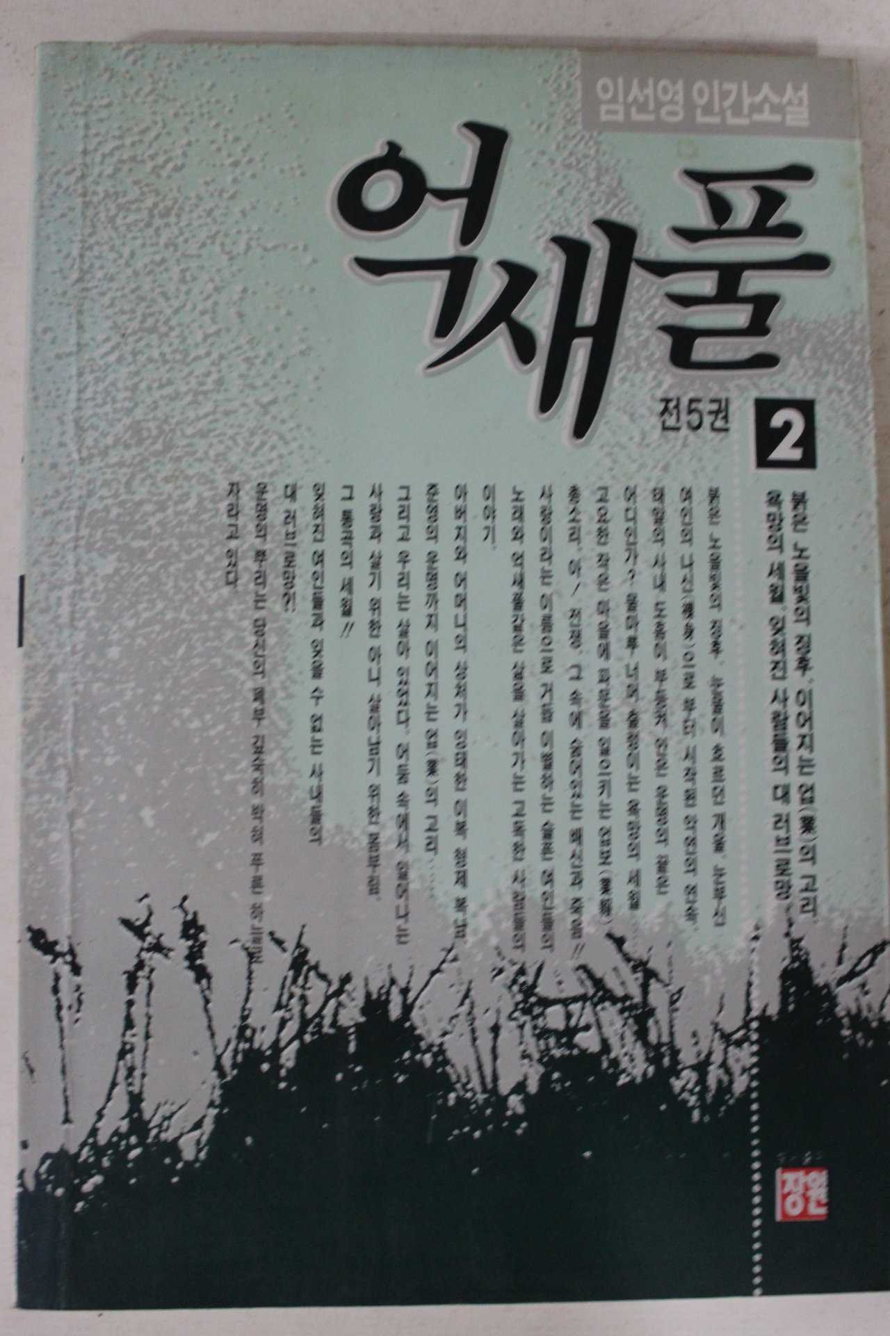1993년 임선영 인간소설 억새풀 2