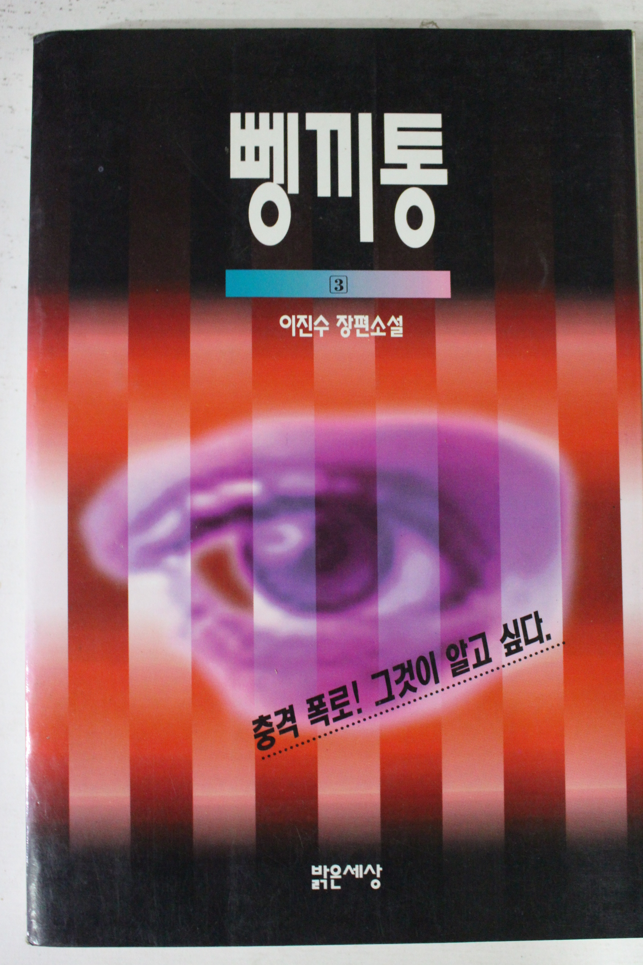 1994년 이진수소설 뼁끼통 3
