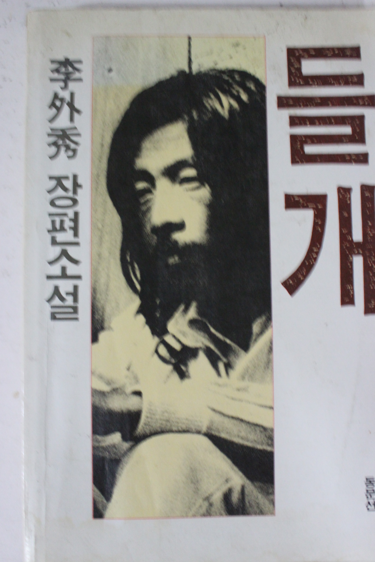 1989년 이외수 장편소설 들개