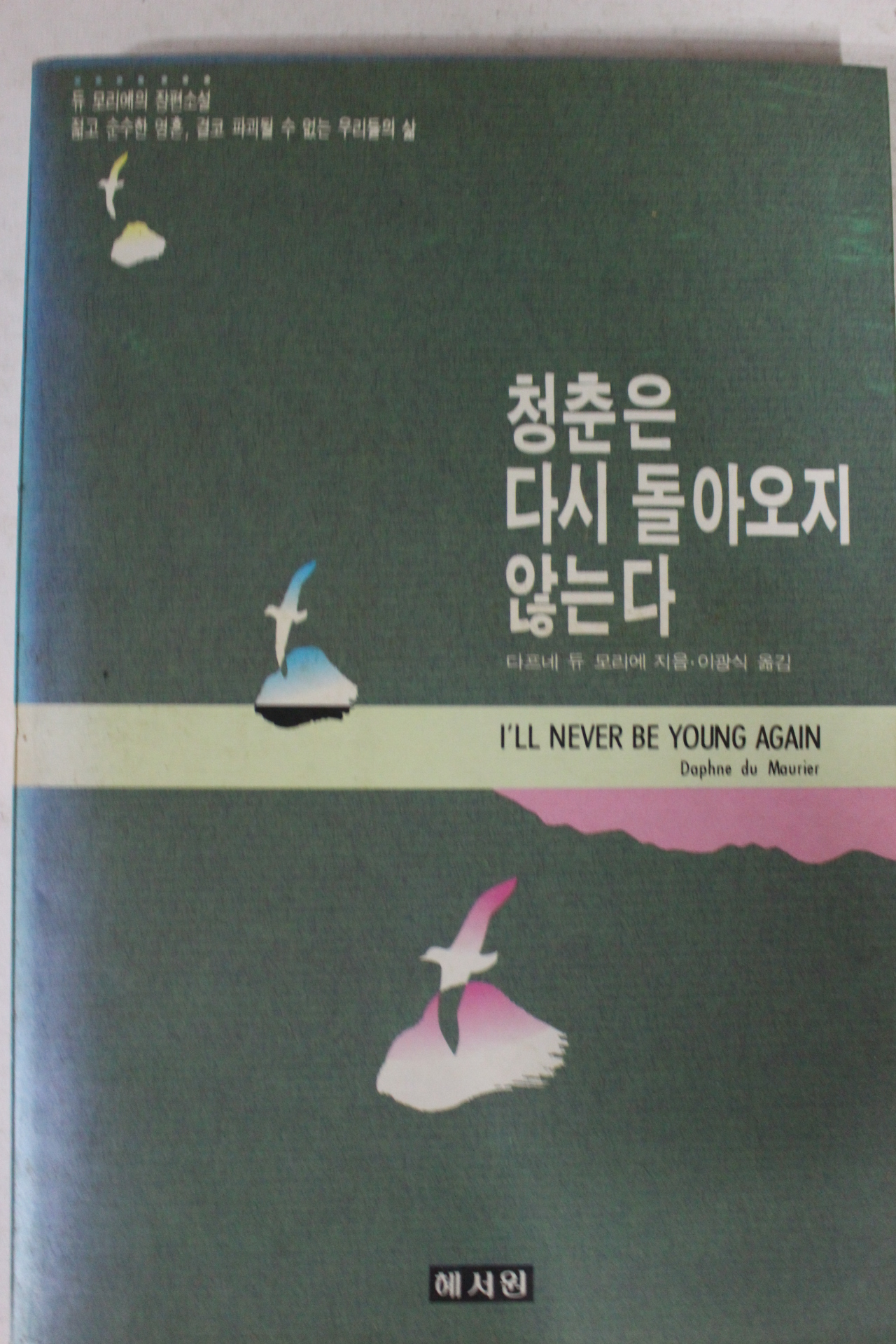 1990년 다프네 듀 모리에 청춘은 다시 돌아오지 않는다