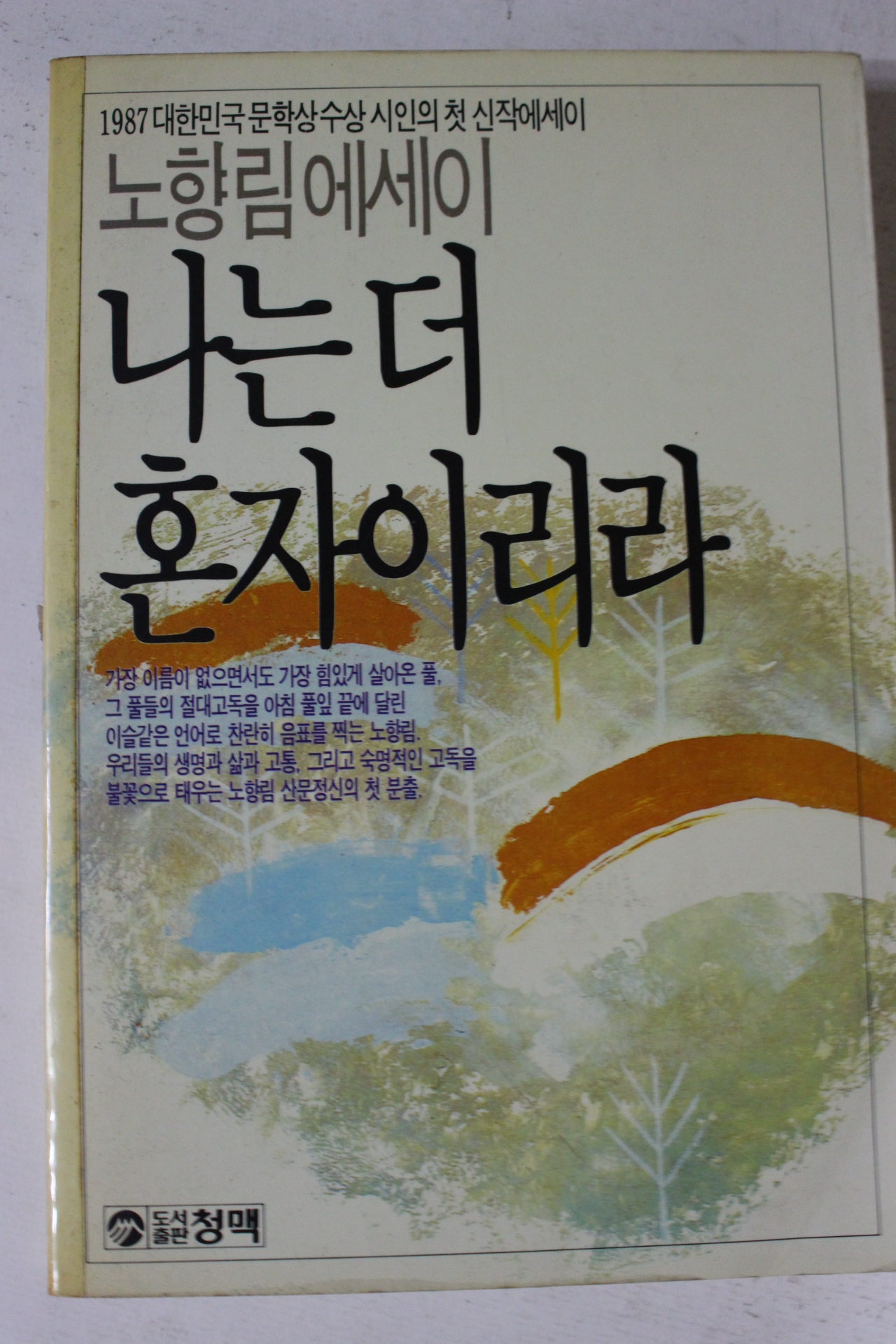 1987년초판 노향림에세이 나는 더 혼자이리라