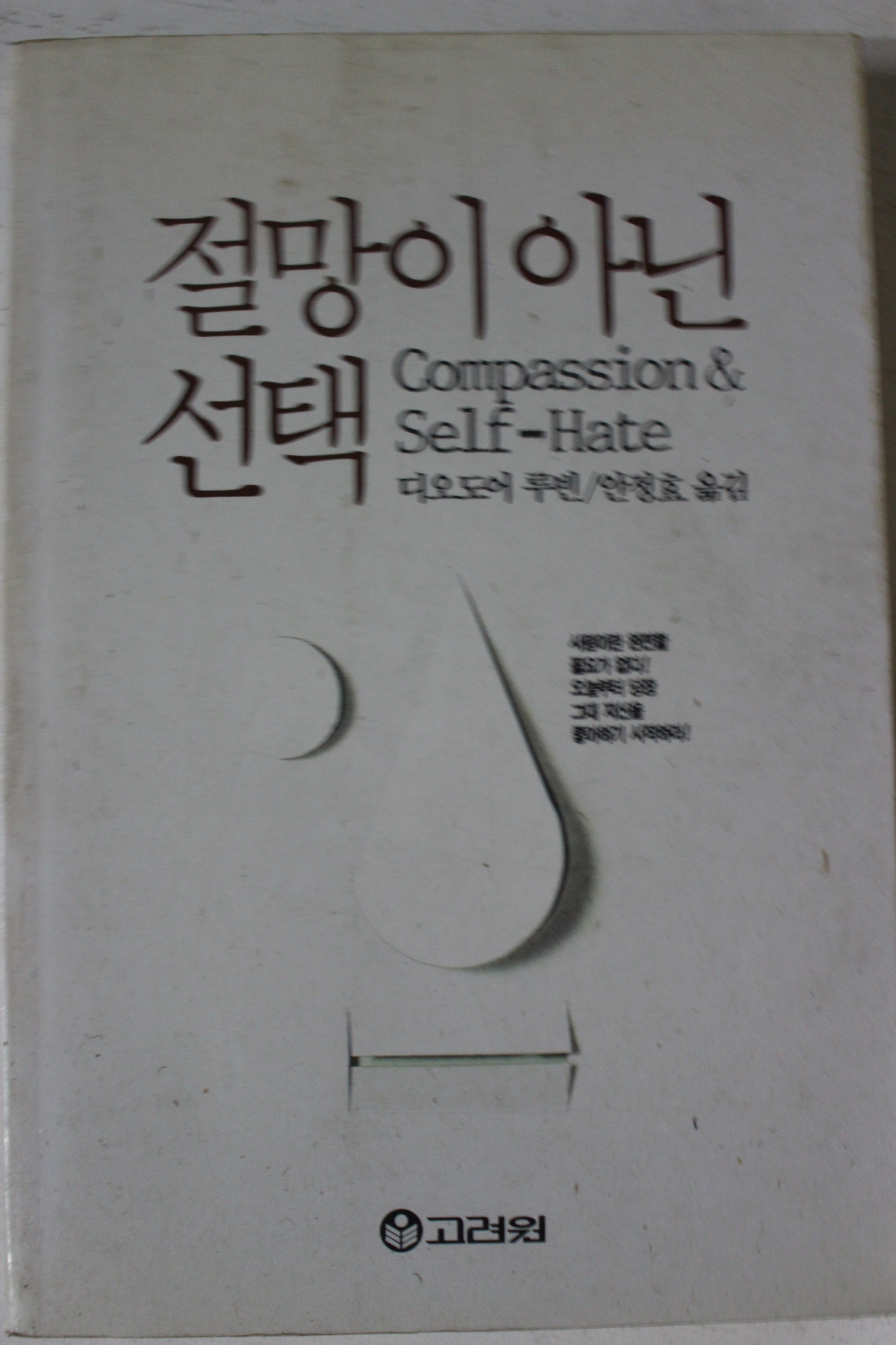 1991년 디오도어 루빈 절망이 아닌 선택