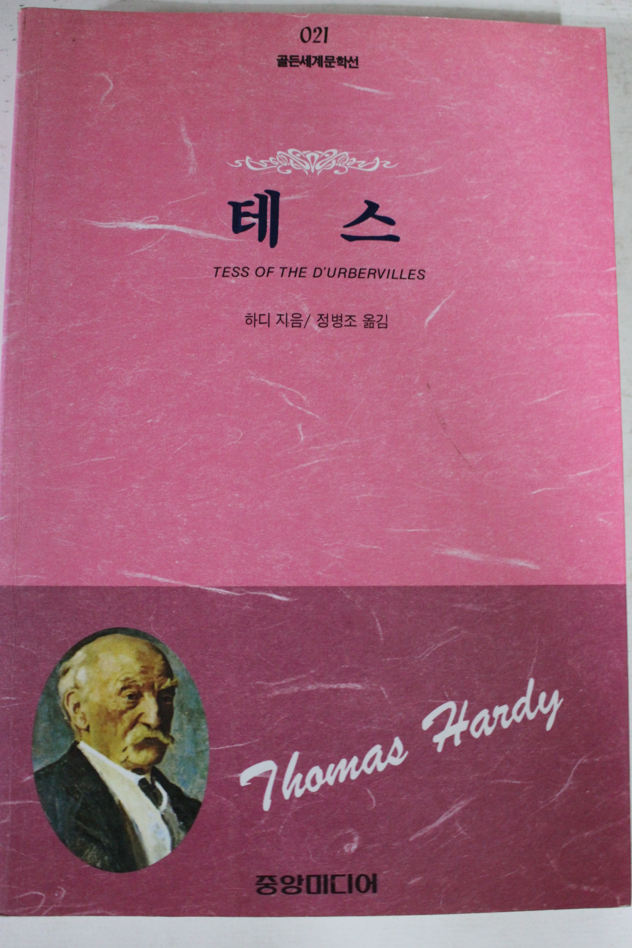 1996년 하디 정병조옮김 테스