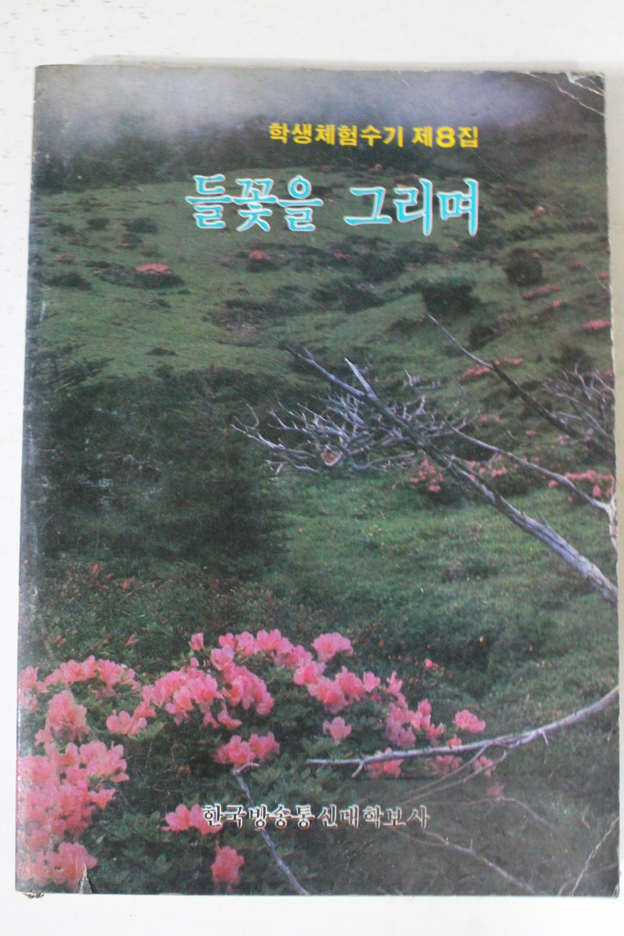 1990년 학생체험수기 제8집 들꽃을 그리며