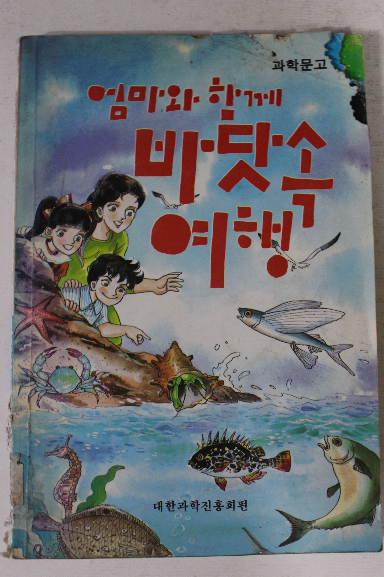 1980년대 과학문고 엄마와 함께 바닷속여행