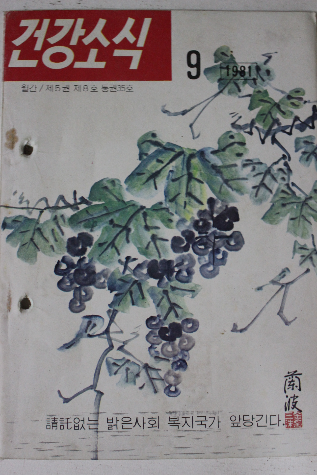 1981년 건강소식 9