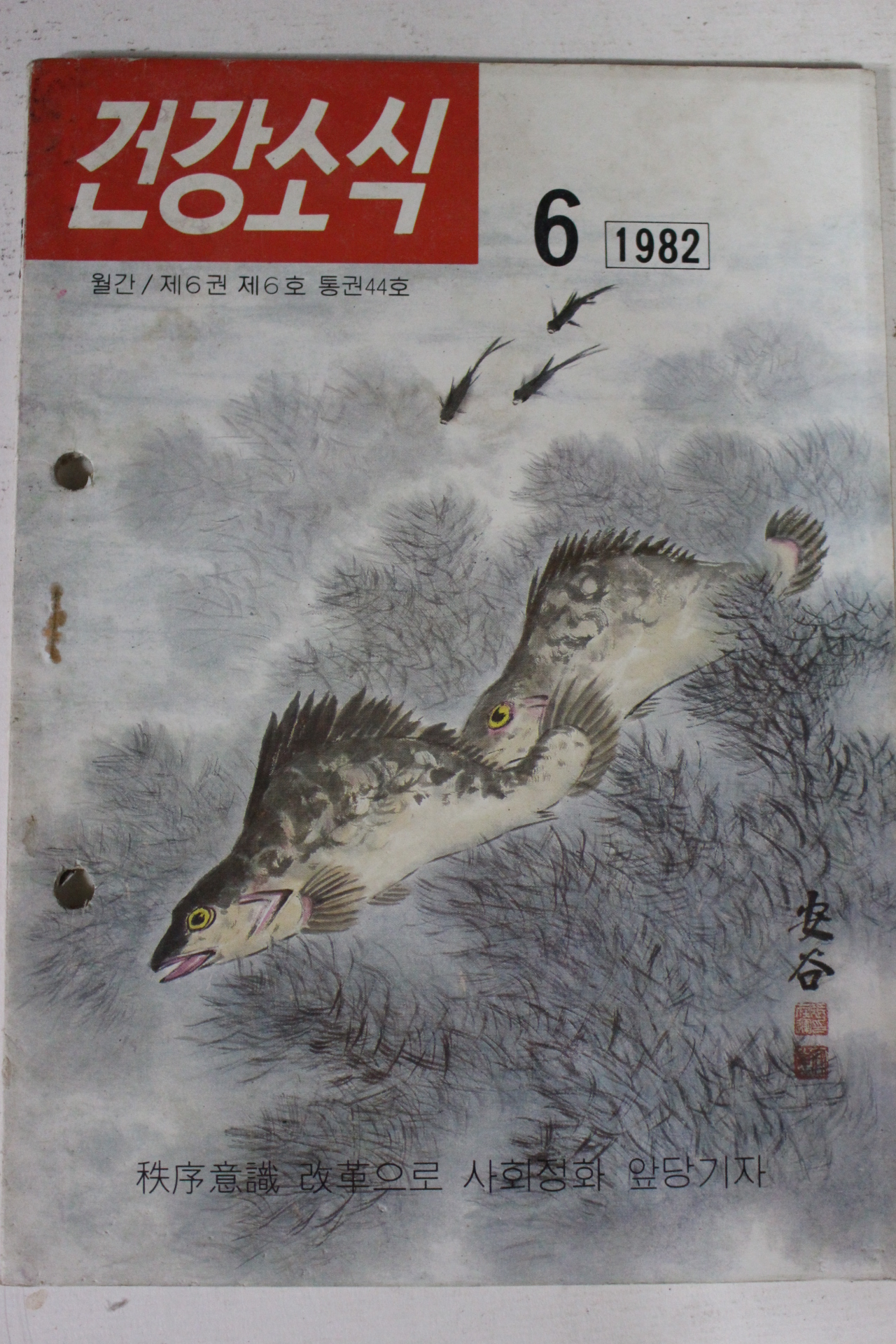 1982년 건강소식 6월호