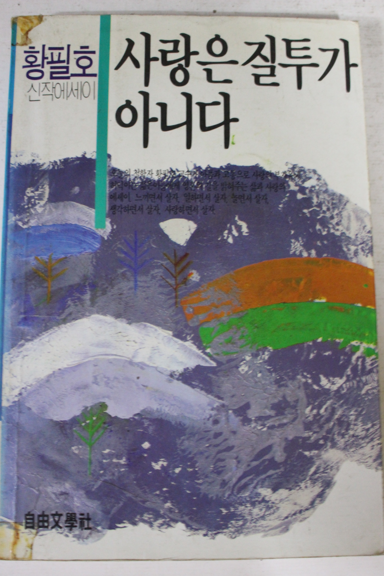 1988년초판 황필호 사랑은 질투가 아니다