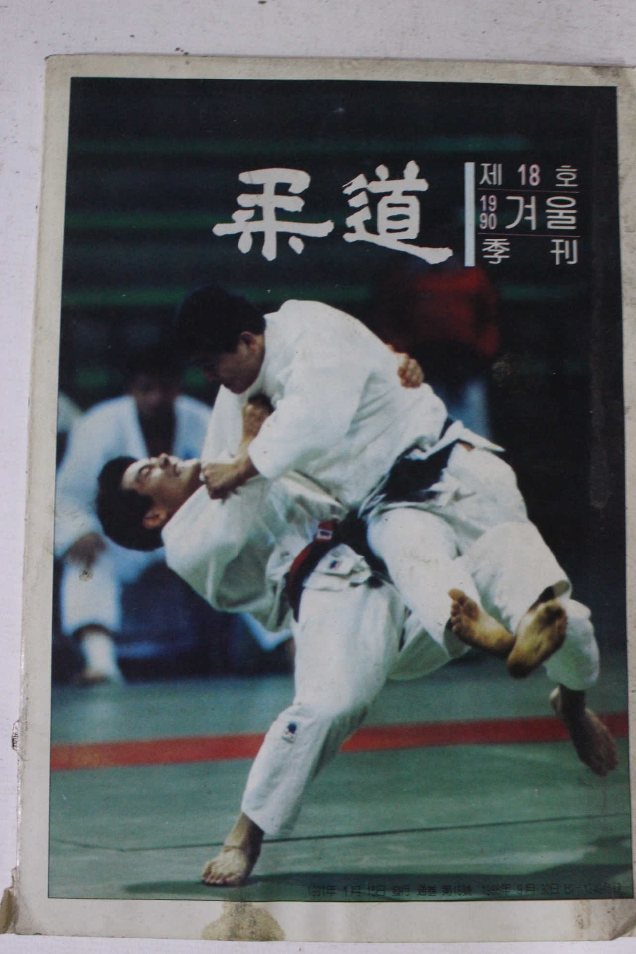 1990년 유도 겨울호