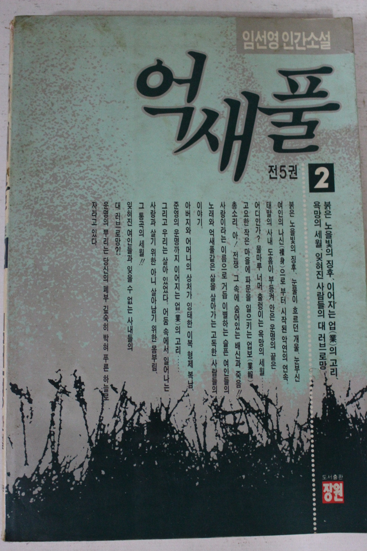 1991년 임선영인간소설 억새풀 2