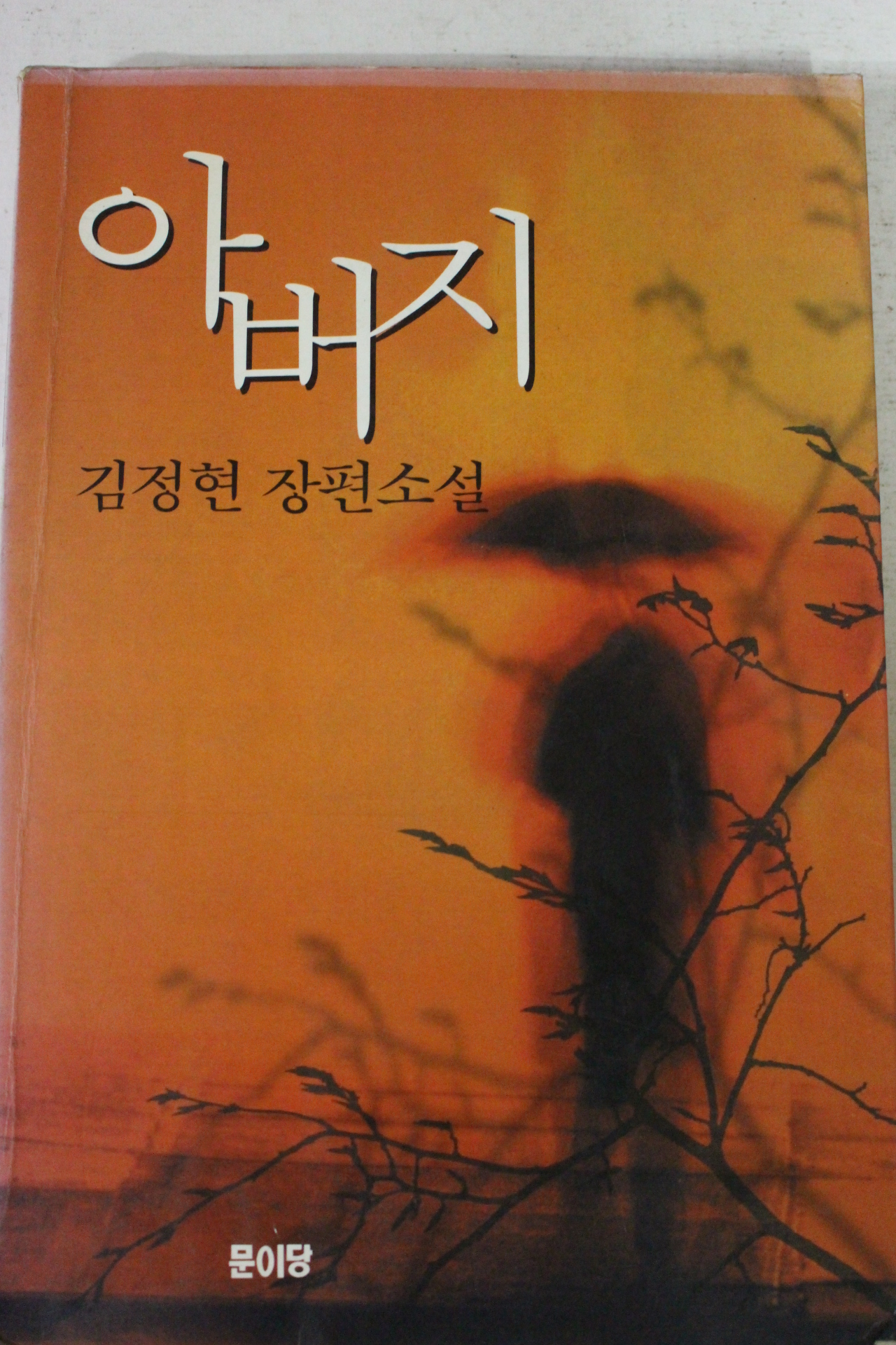 1996년 김정현 장편소설 아버지