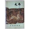 1996년 초장중학교 천마 제10호