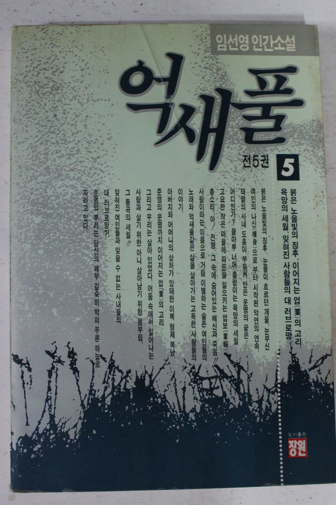 1993년 임선영 인간소설 억새풀 5