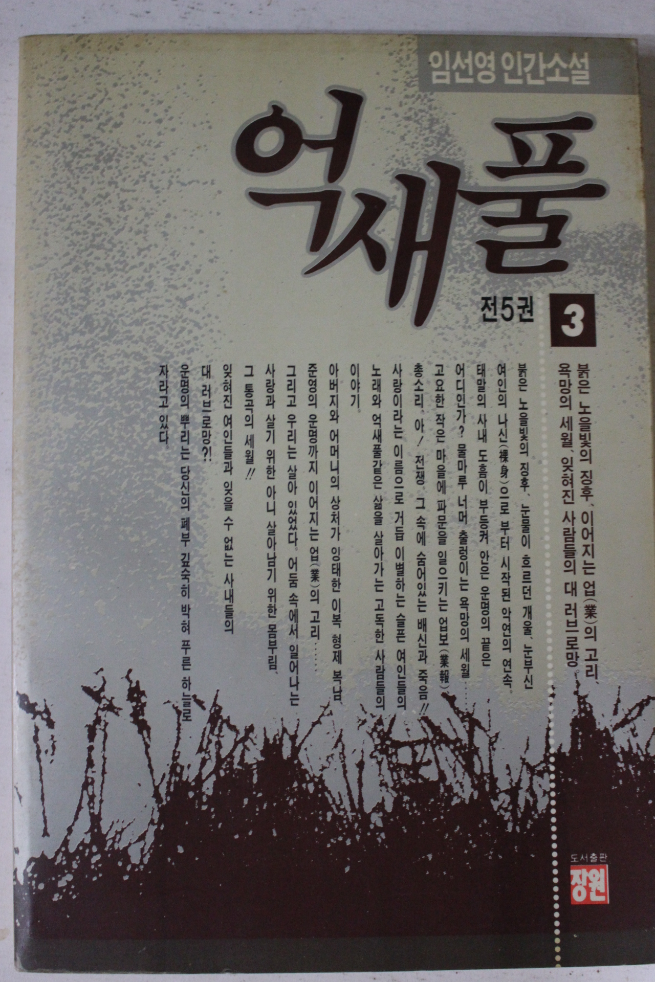 1993년 임선영 인간소설 억새풀 3