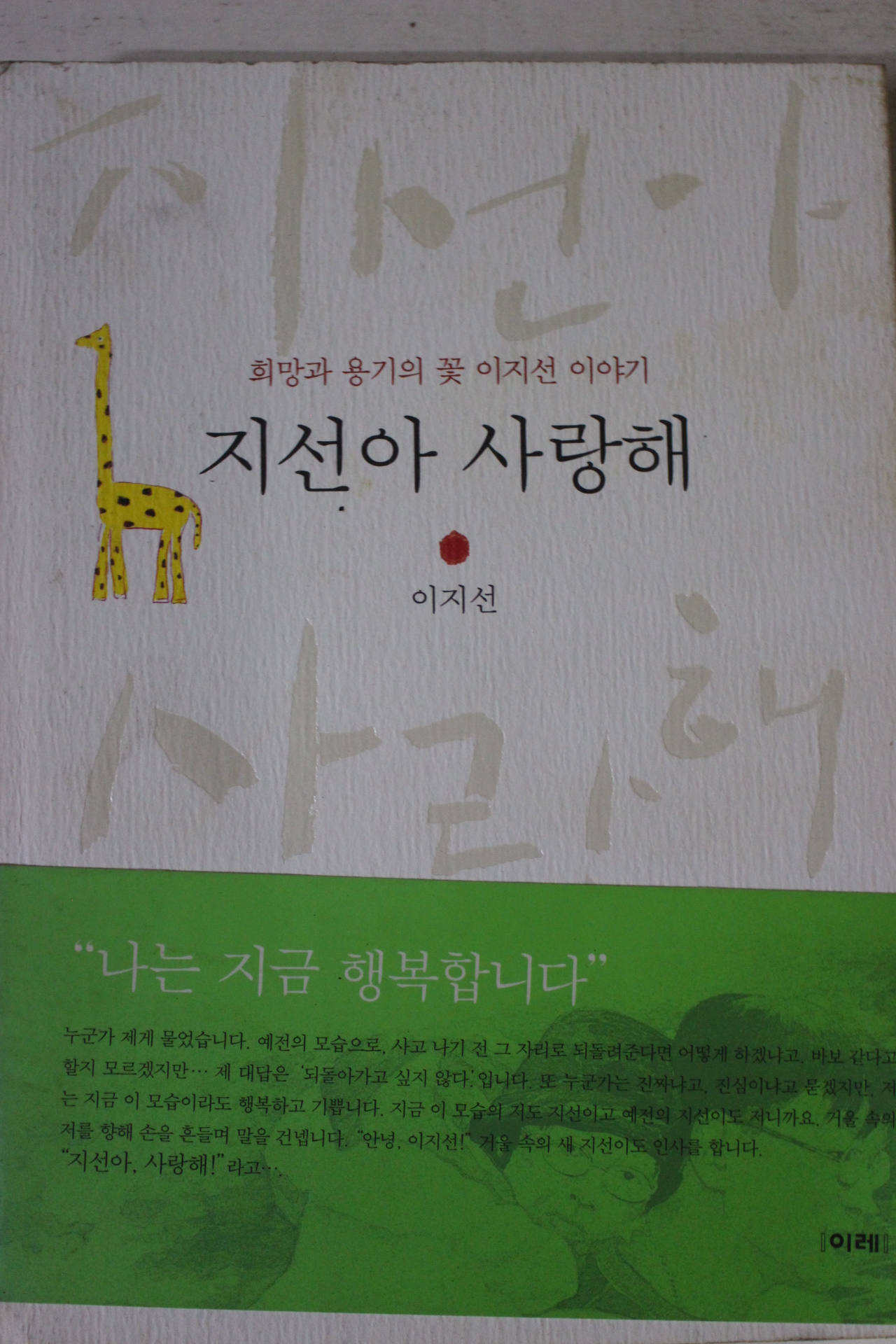 2003년 이지선 지선아 사랑해