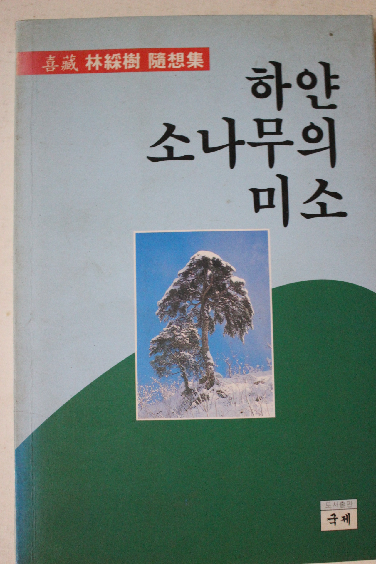 1997년 하얀소나무의 미소