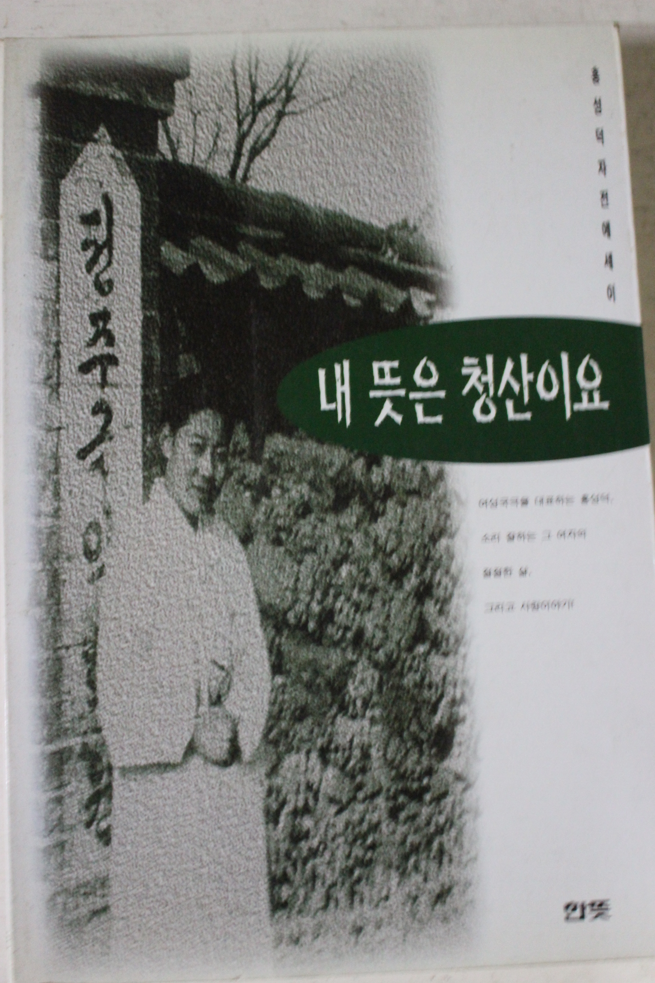 1996년초판 홍성덕 내뜻은 청산이요