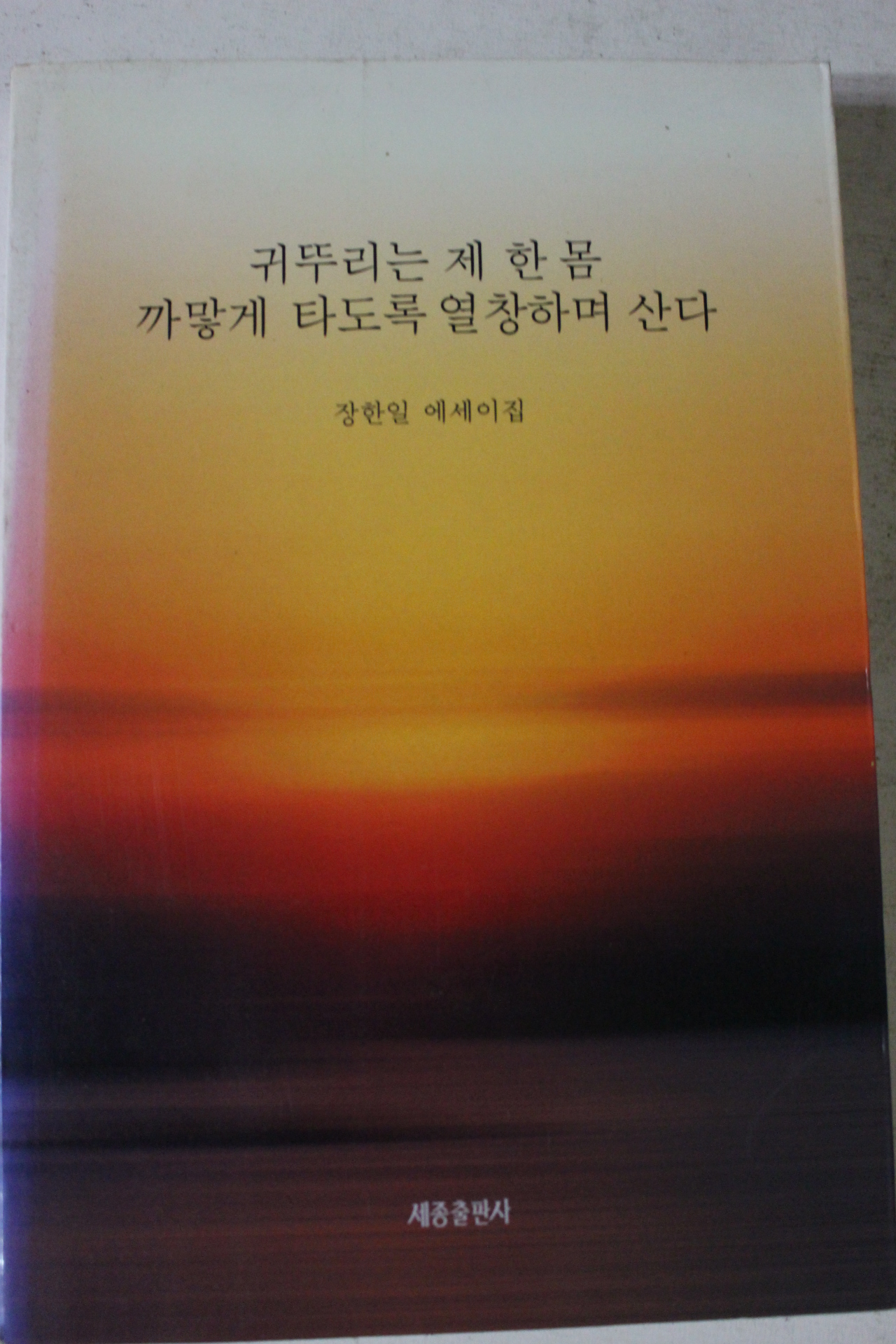 2000년 장한일 귀뚜리는 제한몸 까맣게 타도록 열창하며 산다