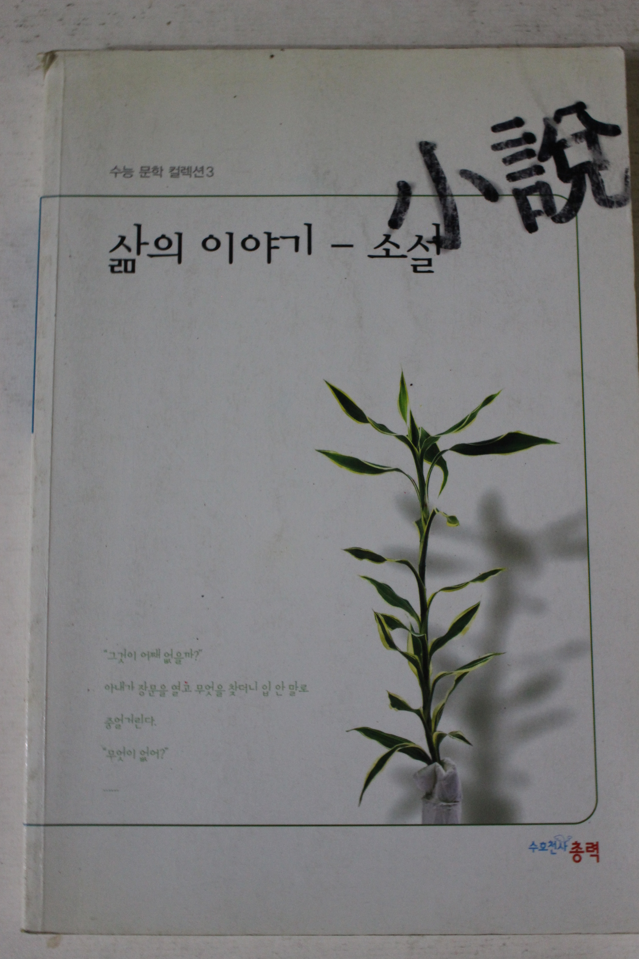 2001년 삶의 이야기 소설