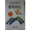 1992년 나상만장편소설 혼자뜨는 달 2