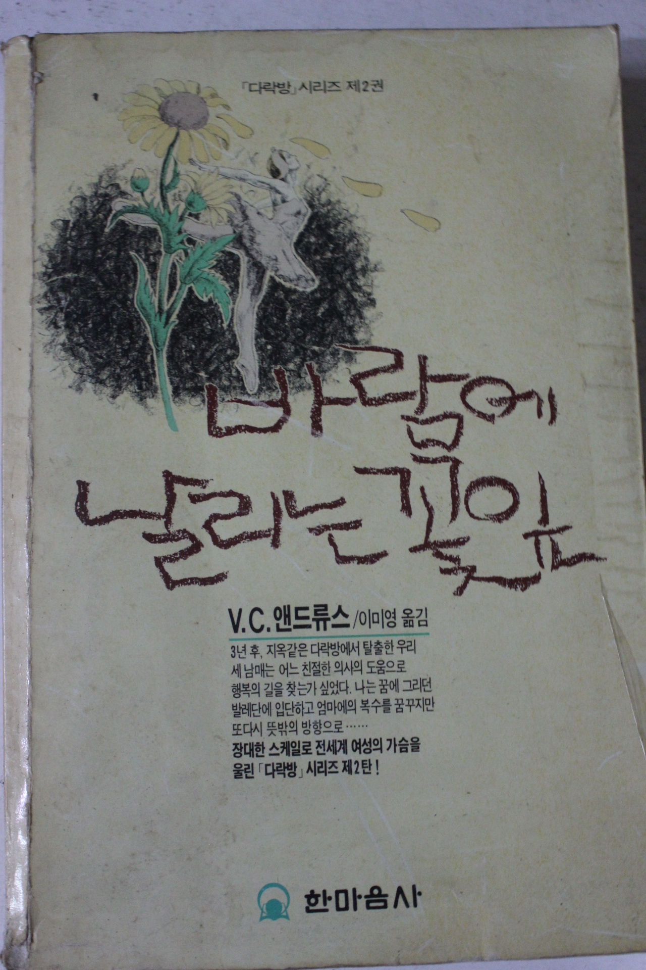 1991년 앤드류스 바람에 날리는 꽃잎