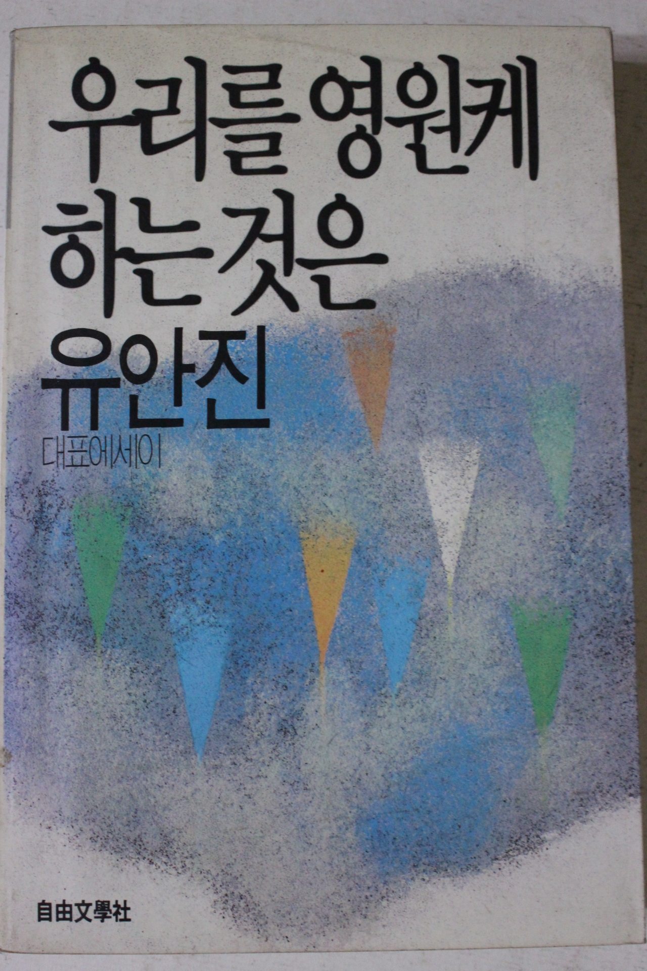 1988년초판 유안진 우리를 영원케 하는것은